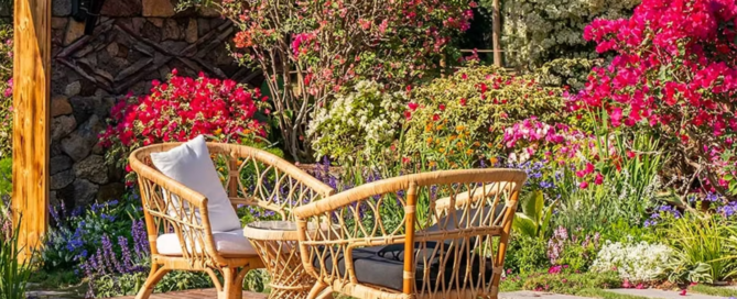 Simpson Communities Partner with Amba Technology to Enhance Resident Independence and Well-Being